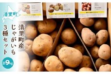 【先行予約】清里町産じゃがいも3種セット＜計9kg＞（2025年10月中旬より順次発送）【 ふるさと納税 人気 おすすめ ランキング 野菜 じゃがいも いも ジャガイモ イモ 旬 肉じゃが 食べ比べ セット 詰め合わせ 詰合せ 北海道 清里町 送料無料 】 KYSB013