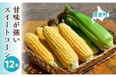 ＜先行受付＞甘味が強い北海道清里町のスイートコーン12本 【 ふるさと納税 人気 おすすめ ランキング 穀物 とうもろこし トウモロコシ スイートコーン コーン 北海道 清里町 送料無料 】 KYSB017