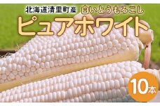 【先行予約】清里町産 白いとうもろこし ピュアホワイト 10本（令和7年9月1日より発送） 【 ふるさと納税 人気 おすすめ ランキング とうもろこし トウモロコシ コーン ピュアホワイト 白い 甘い 野菜 10本 生 北海道 清里町 送料無料 】 KYSL001