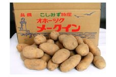小清水町産メークイン　10kg【01001b】