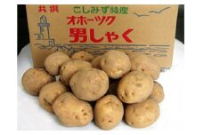 小清水町産男爵　10kg【01002b】