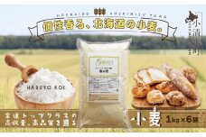 北海道小清水町産 「春よ恋」強力小麦粉6kg（1kg×6袋）【01011】