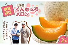 北海道　くんねっぷメロン2玉【1076857】