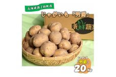 佐藤農場のじゃがいも「男爵」20kg【1097715】