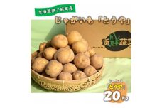 佐藤農場のじゃがいも「とうや」20kg【1097716】