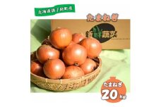 佐藤農場の玉葱20kg【1097717】