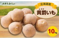 JAきたみらい「黄爵(とうや)いも」　10kg【1292803】