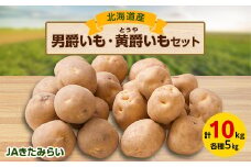 JAきたみらい 「男爵いも×5kg」・「黄爵(とうや)いも×5kg」セット【1292826】