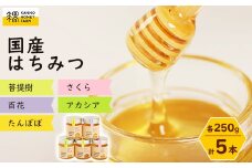 菅野養蜂場　国産はちみつ250g　5種類欲張りセット【1091172】