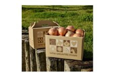 UNO ORGANIC FARMの北海道　訓子府産　有機玉ねぎ　5kg【1455313】