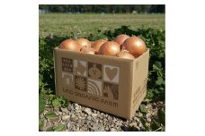 UNO ORGANIC FARMの北海道　訓子府産　有機玉ねぎ　3kg【1455333】
