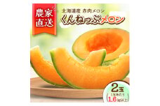 ＜北海道産＞赤肉メロン 「くんねっぷメロン」2玉 (1玉あたり1.6kg以上)〈農家直送〉【1516196】