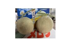 くんねっぷメロン赤肉 2kg×2個【1529775】