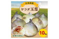 JAきたみらい　サラダ玉葱　10kg【1292813】