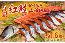 天然紅鮭の旨味熟成山漬一本切身真空 【 ふるさと納税 人気 おすすめ ランキング 鮭 さけ サケ シャケ 紅鮭 切り身 熟成 1.6kg 天然 おかず お中元 お歳暮 ギフト 贈答 自宅用 冷凍 山漬 山漬け 真空パック 北海道 置戸町 送料無料 】 OTB001
