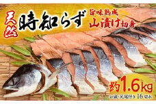 天然時知らずの旨味熟成山漬一本切身真空 【 ふるさと納税 人気 おすすめ ランキング 鮭 さけ サケ シャケ 時知らず 1本 切り身 熟成 1.0kg 天然 おかず お中元 お歳暮 ギフト 贈答 自宅用 冷凍 山漬 山漬け 真空パック 北海道 置戸町 送料無料 】 OTB002