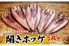 置戸市場特製北海道産開きホッケ5枚セット 【 ふるさと納税 人気 おすすめ ランキング ホッケ ホッケ 開き ホッケ開き ほっけ開き 干物 ほっけ干物 ホッケ干物 干物ほっけ 干物ホッケ 海鮮 魚 北海道産 5枚 セット 冷凍 おかず お中元 お歳暮 ギフト 贈答 自宅用 北海道 置戸町 送料無料 】 OTB003