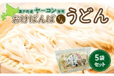 おけばんばくんうどん5袋セット 【 ふるさと納税 人気 おすすめ ランキング うどん 麺 ヤーコン 5袋 セット おけばんばくん お中元 お歳暮 ギフト 贈答 自宅用 北海道 置戸町 送料無料 】 OTB005
