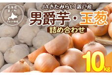 ＪＡきたみらい男爵芋・玉葱詰め合わせ 【 ふるさと納税 人気 おすすめ ランキング いも 芋 イモ じゃがいも ジャガイモ 男爵イモ 男爵いも 男爵芋 玉ねぎ たまねぎ 北海道 置戸町 送料無料 】 OTC002