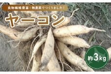 ヤーコン 3kg 【 ふるさと納税 人気 おすすめ ランキング 野菜 ヤーコン 無農薬 北海道 置戸町 送料無料 】 OTE001