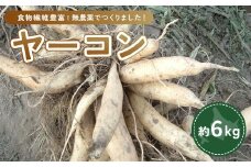 ヤーコン 6kg 【 ふるさと納税 人気 おすすめ ランキング 野菜 ヤーコン 6kg 無農薬 北海道 置戸町 送料無料 】 OTE002