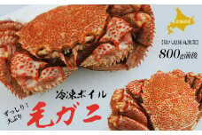北海道産 ずっしり！大ぶり 冷凍ボイル毛ガニ 800g前後 【 ふるさと納税 人気 おすすめ ランキング 魚介類 北海道 オホーツク 毛がに 毛ガニ 毛蟹 けがに かに 蟹 カニ カニミソ かに味噌 ボイル 北海道 佐呂間町 送料無料 】 SRMN024