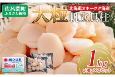 北海道オホーツク海産 大玉帆立貝柱 500g×2セット 【 ふるさと納税 人気 おすすめ ランキング ホタテ ほたて 帆立 ホタテ貝柱 ほたて貝柱 貝柱 刺身 帆立刺身 刺身ホタテ 魚介 新鮮 オホーツク海産 北海道 佐呂間町 送料無料 】 SRMR002