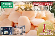 北海道オホーツク海産 大玉帆立貝柱 500g×2セット 【 ふるさと納税 人気 おすすめ ランキング ホタテ ほたて 帆立 ホタテ貝柱 ほたて貝柱 貝柱 刺身 帆立刺身 刺身ホタテ 魚介 新鮮 オホーツク海産 北海道 佐呂間町 送料無料 】 SRMR002