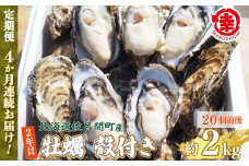 【先行予約】【10月中旬から順次発送】カキ 殻付き 2年貝 約2kg（20個前後） 佐呂間産 ［4回定期便］【 ふるさと納税 人気 おすすめ ランキング 牡蠣 カキ かき 貝 牡蠣貝 かき貝 カキ貝 殻付き 殻付 殻付き牡蠣 殻付きカキ グルメ ギフト 贈答 贈り物 BBQ バーベキュー 貝類 冷蔵 海鮮 定期便 オホーツク 北海道 佐呂間町 送料無料 】 SRMA040