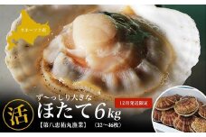 【12月発送限定】オホーツク産 ずっしり大きな『活』 ほたて 6kg（32～46枚）  【ふるさと納税 人気 おすすめ ランキング 魚介類 貝 ほたて ホタテ 帆立 帆立貝柱 ホタテ貝柱 ほたて貝柱 新鮮 北海道 佐呂間町 送料無料】 SRMN029