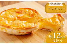 オホーツクで焼き上げる絶品の手作り アップルパイ 12cm 【 ふるさと納税 人気 おすすめ ランキング 菓子 焼菓子 アップルパイ パイ 杏 あんず りんご 甘い 美味しい 北海道 佐呂間町 送料無料 】 SRMJ006