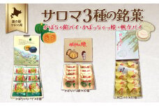 サロマ 3種の銘菓（かぼちゃ餡パイ・かぼちゃっ娘・帆立パイ） 【 ふるさと納税 人気 おすすめ ランキング 菓子 焼菓子 パイ かぼちゃ かぼちゃっ娘 バターパイ 帆立 ホタテ スイーツ デザート ギフト プレゼント 贈答 贈り物 北海道 佐呂間町 送料無料 】 SRMI006