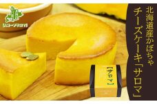 北海道産 かぼちゃチーズケーキ 「サロマ」12cm 【 ふるさと納税 人気 おすすめ ランキング 菓子 ケーキ チーズケーキ かぼちゃチーズケーキ スイーツ おいしい あまい 北海道 佐呂間町 送料無料 】 SRMM006