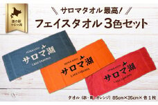 サロマタオル最高！ フェイスタオル 3色セット 【 ふるさと納税 人気 おすすめ ランキング タオル オリジナル サロマ湖 サロマ デザイン 道の駅 3枚 物産館 物産館みのり 北海道 佐呂間町 送料無料 】 SRMI016
