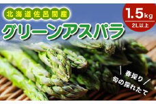 【春採り】 グリーンアスパラ 1.5kg（2L以上）旬の採れたて 北海道 佐呂間産（2025年4月出荷開始先行予約） 【 ふるさと納税 人気 おすすめ ランキング 野菜 アスパラ アスパラガス グリーンアスパラ グリーン とれたて 新鮮 北海道 佐呂間町 送料無料 】 SRMM017