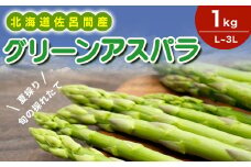 【夏採り】 グリーンアスパラ 1kg（L～3L）旬の採れたて 北海道 佐呂間産（2025年7月出荷開始先行予約） 【 ふるさと納税 人気 おすすめ ランキング 野菜 アスパラ アスパラガス グリーンアスパラ グリーン とれたて 新鮮 北海道 佐呂間町 送料無料 】 SRMM016