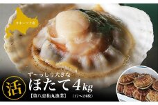 オホーツク産 ずっしり大きな『活』 ほたて 4kg（17～24枚） 【 ふるさと納税 人気 おすすめ ランキング 魚介類 貝 ほたて ホタテ 帆立 帆立貝柱 ホタテ貝柱 ほたて貝柱 新鮮 北海道 佐呂間町 送料無料 】 SRMN015