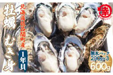 カキ むき身 1年貝 600g（200g無水パック×3） 佐呂間産 【 ふるさと納税 人気 おすすめ ランキング 牡蠣 カキ かき 貝 牡蠣貝 かき貝 カキ貝 むき身 むき身牡蠣 むき身カキ むき身かき グルメ ギフト 贈答 贈り物 BBQ バーベキュー 貝類 冷蔵 海鮮 オホーツク 北海道 佐呂間町 送料無料 】 SRMA014