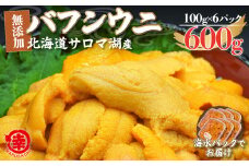 【先行予約】サロマ湖産 無添加 バフンウニ 600g（100g×6）海水パック  【 ふるさと納税 人気 おすすめ ランキング 魚介類 うに ばふんうに バフンウニ 雲丹 ウニ 海鮮丼 ウニ丼  新鮮 オホーツク 北海道 佐呂間町 送料無料 】 SRMA020