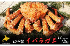 オホーツク産 幻の蟹 イバラガニ 1.0～1.2kg 【 ふるさと納税 人気 おすすめ ランキング 魚介類 カニ 蟹 かに イバラガニ いばらがに おいしい 美味しい 新鮮 北海道 佐呂間町 送料無料 】 SRMN012