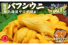 【先行予約】サロマ湖産 無添加 バフンウニ 120g（60g×2）海水パック 【 ふるさと納税 人気 おすすめ ランキング 魚介類 うに ばふんうに バフンウニ 雲丹 ウニ 海鮮丼 ウニ丼  新鮮 オホーツク 北海道 佐呂間町 送料無料 】 SRMA021