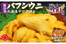 【先行予約】サロマ湖産 無添加 バフンウニ 200g（100g×2）海水パック 【 ふるさと納税 人気 おすすめ ランキング 魚介類 うに ばふんうに バフンウニ 雲丹 ウニ 海鮮丼 ウニ丼  新鮮 オホーツク 北海道 佐呂間町 送料無料 】 SRMA022