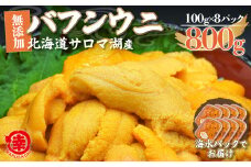 【先行予約】サロマ湖産 無添加 バフンウニ 800g（100g×8）海水パック 【 ふるさと納税 人気 おすすめ ランキング 魚介類 うに ばふんうに バフンウニ 雲丹 ウニ 海鮮丼 ウニ丼  新鮮 オホーツク 北海道 佐呂間町 送料無料 】 SRMA024