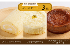 3種のケーキセット（スフレロールケーキ・レアチーズケーキ・バスク風チョコレートチーズケーキ） 【 ふるさと納税 人気 おすすめ ランキング 菓子 洋菓子ロールケーキ スフレロールケーキ レアチーズケーキ チョコチーズケーキ 北海道 佐呂間町 送料無料 】 SRMJ096