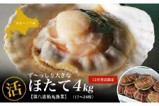 オホーツク産 ずっしり大きな『活』 ほたて 4kg（17～24枚）12月発送限定 【 ふるさと納税 人気 おすすめ ランキング 魚介類 貝 ほたて ホタテ 帆立 帆立貝柱 ホタテ貝柱 ほたて貝柱 新鮮 北海道 佐呂間町 送料無料 】 SRMN022