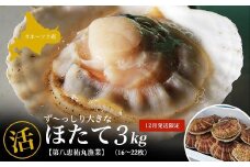 【12月発送限定】オホーツク産 ずっしり大きな『活』 ほたて 3kg（16～22枚） 【 ふるさと納税 人気 おすすめ ランキング 魚介類 貝 ほたて ホタテ 帆立 帆立貝柱 ホタテ貝柱 ほたて貝柱 新鮮 北海道 佐呂間町 送料無料 】 SRMN022