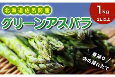 【春採り】 グリーンアスパラ 1kg（2L以上）旬の採れたて 北海道 佐呂間産（2025年4月出荷開始先行予約） 【 ふるさと納税 人気 おすすめ ランキング 野菜 アスパラ アスパラガス グリーンアスパラ グリーン とれたて 新鮮 北海道 佐呂間町 送料無料 】 SRMM033