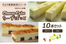 サロマ産新感覚スイーツ「チーズぼっこ」(プレーン・チョコ)10本 セット 【 ふるさと納税 人気 おすすめ ランキング 菓子 お菓子 スイーツ ケーキ チーズケーキ スティック プレーン チョコ チーズ セット 詰合せ 詰め合わせ ギフト 贈答 プレゼント 冷凍 北海道 佐呂間町 送料無料 】 SRML002