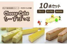 サロマ産新感覚スイーツ「チーズぼっこ」(プレーン・パンプキン・キャラメル)10本 セット 【 ふるさと納税 人気 おすすめ ランキング 菓子 お菓子 スイーツ ケーキ チーズケーキ スティック プレーン パンプキン キャラメル チーズ セット 詰合せ 詰め合わせ ギフト 贈答 プレゼント 冷凍 北海道 佐呂間町 送料無料 】 SRML004