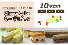 サロマ産新感覚スイーツ「チーズぼっこ」(プレーン・チョコ・あずき)10本 セット 【 ふるさと納税 人気 おすすめ ランキング 菓子 お菓子 スイーツケーキ チーズケーキ スティック プレーン チョコ あずき チーズ セット 詰合せ 詰め合わせ ギフト 贈答 プレゼント 冷凍 北海道 佐呂間町 送料無料 】 SRML006